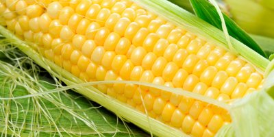 Можно ли кукурузу на кето-диете?